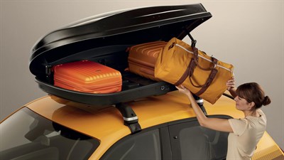 Renault TWINGO - Photo coffre de toit
